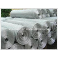 1/2 &#39;&#39; Galvanized Welded Wire Mesh